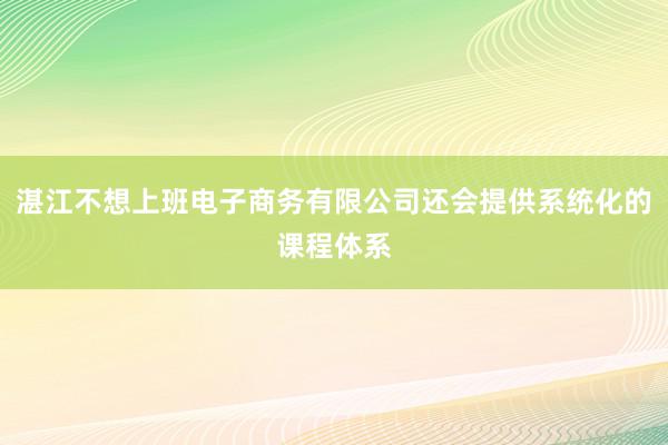 湛江不想上班电子商务有限公司还会提供系统化的课程体系